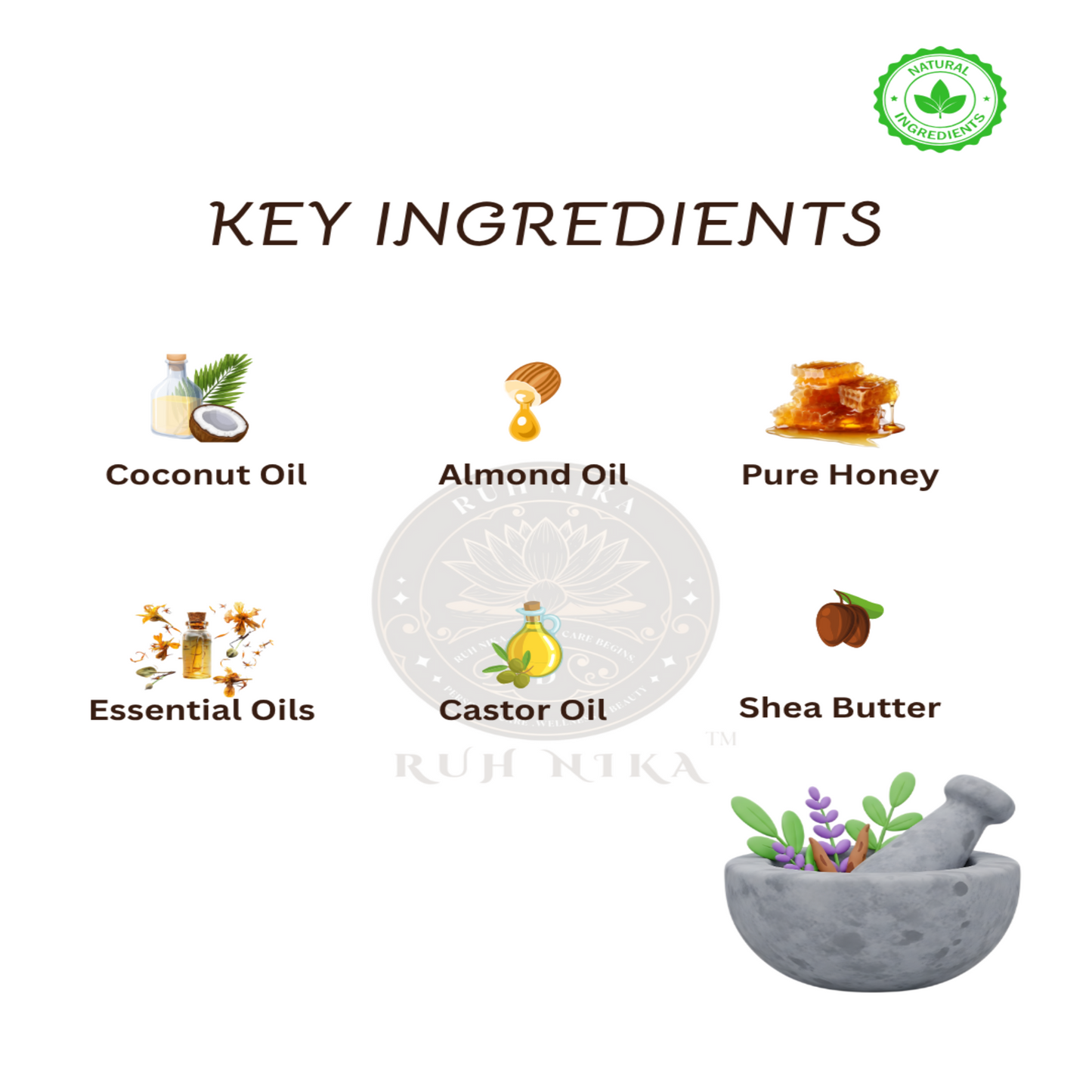 Key ingredients of a skincare product with icons and text on a white background