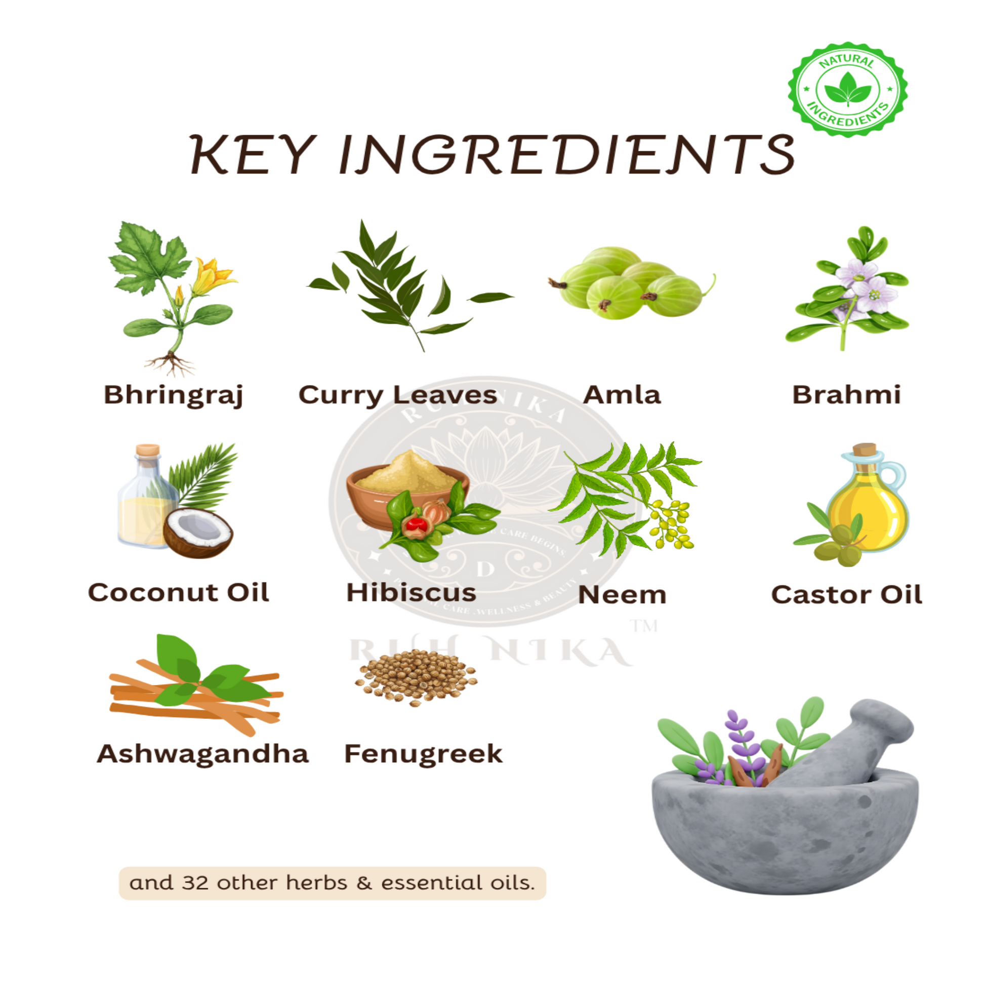 Key ingredients with their names displayed on a white background